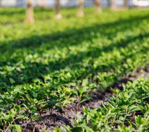 Floraco Pty Ltd - East Perth, WA