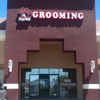 Lazy Dog Grooming gallery