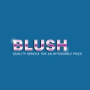 Blush Cleaning Service LLC - Upholstery Cleaners
