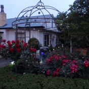 Gallery Image Number 8