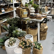 Gallery Image Number 4