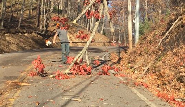 Crazy Irish Tree Service - Sevierville, TN