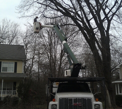 Chattanooga Tree Care - Chattanooga, TN