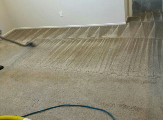 Allied Carpet & Upholstery Cleaning - Las Vegas, NV