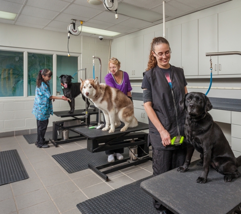 Animal Medical Hospital - Charlotte, NC. Grooming