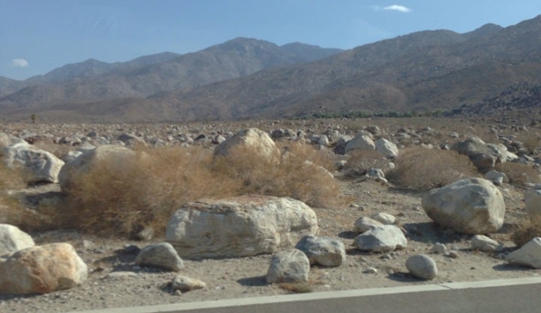 Indian Canyons - Palm Springs, CA