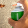 Gladiator Pest Control gallery
