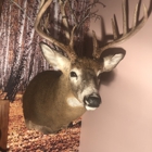 Charles Corcoran Taxidermy