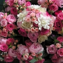 Epiphany Floral - Florists