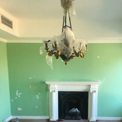 Gallery Image Number 2