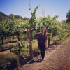 Kistler Vineyards gallery