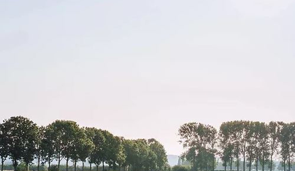 Bringelly Stockfeeds - Kemps Creek, NSW