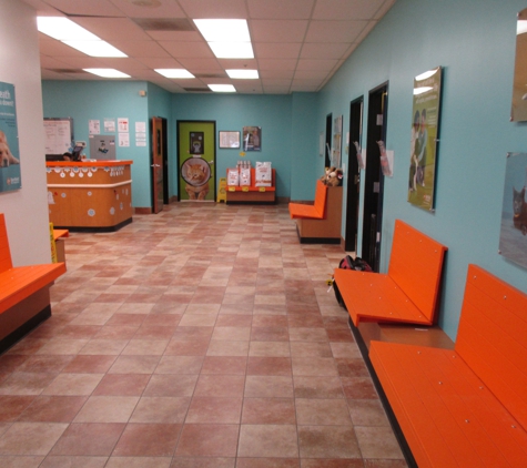 Banfield Pet Hospital - Plano, TX