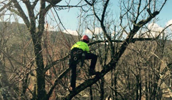 Dan's Tree Services - Wangaratta, VIC