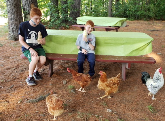 Greaneys Ice Cream & Farm Stand - Weare, NH