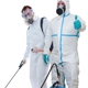 Best Pest Control Services