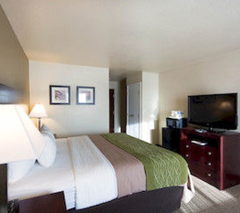 Comfort Inn & Suites Mansfield - Mansfield, TX