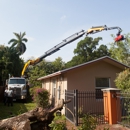 Tree Jaws - Tree Service