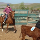 American Medical Response (Santa Barbara County)