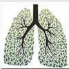 COPD Respiratory Service gallery
