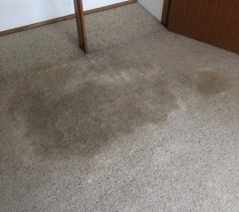 Phil Lindfield's Big Red Carpet Cleaning - Taree, NSW