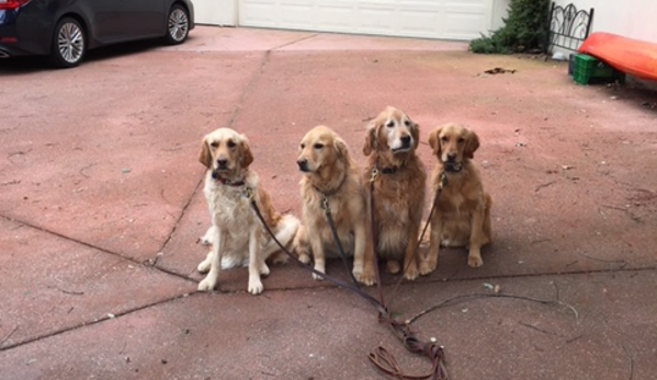 Wag Time Dog Training - Antelope, CA