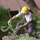 JB Tree Care & Landscaping - Tree Service