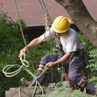 JB Tree Care & Landscaping