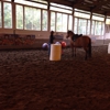 Wild Horse Mountain Ranch-A Rescue & Learning gallery
