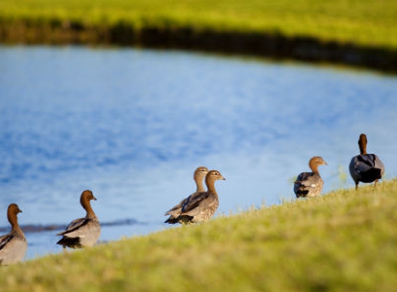 Calderwood Valley Golf Course - Calderwood, NSW