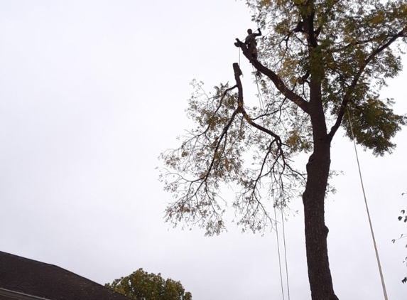 King Tree Services and Landscaping LLC - Indianapolis, IN