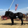 Box Elder Horse & Carriage gallery