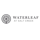 Waterleaf at Salt Creek