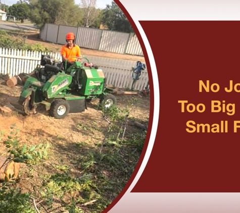 Eldridge Tree Service - Narrandera, NSW. No Job Is Too Big Or Too Small For Us