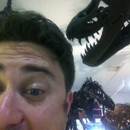Everything Prehistoric - Museums
