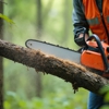 Alvin's Tree Service gallery