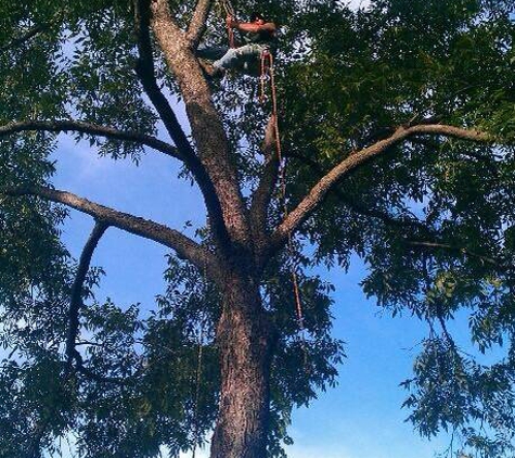 Father and Son Tree Care