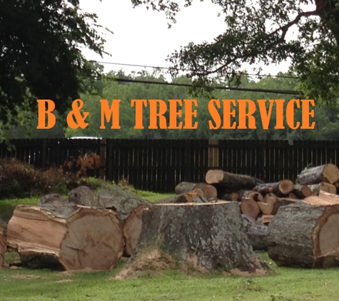 B & M Tree Service - Sabine Pass, TX