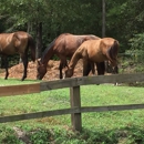 Highland Farm - Horse Training