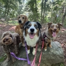Shoreline Happy Paws - Pet Services
