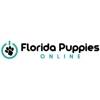 Florida Puppies Online gallery
