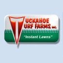 Tuckahoe Turf Farms Inc - Sod & Sodding Service