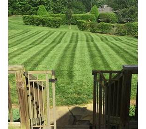 Canopy Lawn Care Raleigh