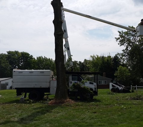 Tru-Cut Tree Service - Kokomo, IN