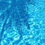 Port Charlotte Pools