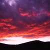 Woodslanding Resorts gallery