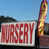 Valley Verde Nursery & Landscaping gallery