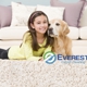 Everest Carpet Cleaning