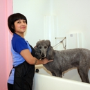 Dori's Grooming - Pet Services