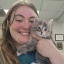 VCA Beacon Hill Cat Hospital - Veterinarians